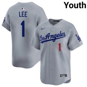 Grey L.A. Dodgers Brandon Lee Embroidery Youth #1 Jersey 281870-956