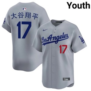 Grey Los Doyers #17 Stitched Shohei Ohtani Youth Jersey 151066-378